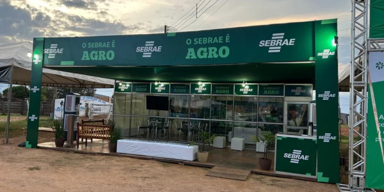 Sebrae Tocantins marca presença na Exposição Agropecuária de Dianópolis