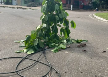 Fiação baixa continua dando problemas em Miracema