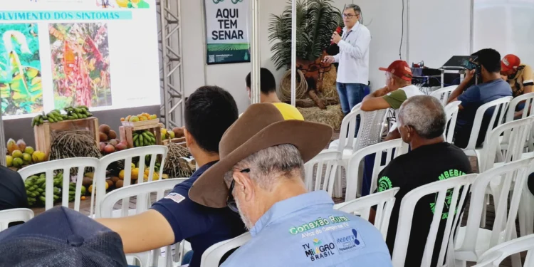 Adapec realiza palestra sobre pragas quarentenárias na 1ª Expobico em Araguatins