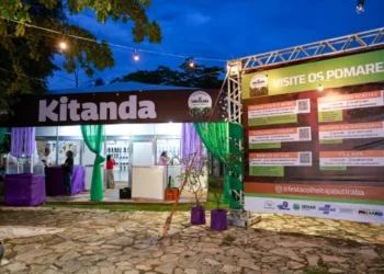 crédito foto: Regiane Rocha/Secom Palmas