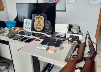 Operação resultou em prejuízo de quase R$ 100 mil reais à criminalidade.