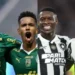 Palmeiras e Botafogo somam 70 pontos no Campeonato Brasileiro e se enfrentam nesta 36ª rodada • Cesar Greco/Palmeiras; Vítor Silva/Botafogo