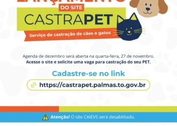 crédito foto: Divulgação