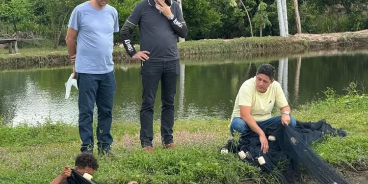 Adapec reforça ações de sanidade em pisciculturas produtoras de alevinos