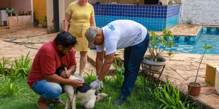 Cães e gatos da zona rural são vacinados contra raiva