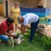 Cães e gatos da zona rural são vacinados contra raiva