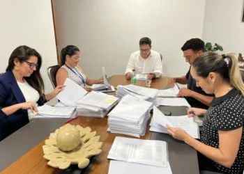 Comissão organizadora do processo seletivo para diretores escolares