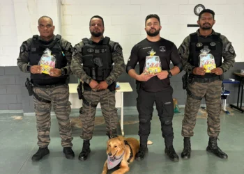 A operação Hagnos é uma ação nacional coordenada pelo Ministério da Justiça e reúne forças de segurança de todo o país. Divulgação Seciju/Governo do Tocantins