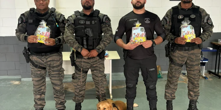 A operação Hagnos é uma ação nacional coordenada pelo Ministério da Justiça e reúne forças de segurança de todo o país. Divulgação Seciju/Governo do Tocantins