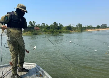 Ação resultou na apreensão de 200 metros de redes de emalhar - Foto: Andréa Marques/Governo do Tocantins