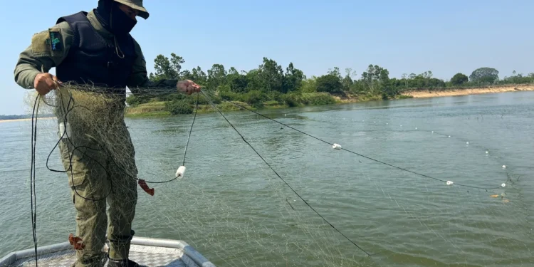 Ação resultou na apreensão de 200 metros de redes de emalhar - Foto: Andréa Marques/Governo do Tocantins