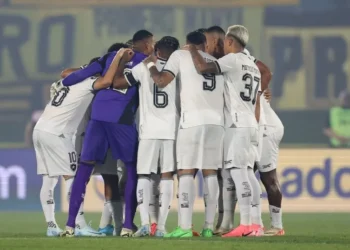 Botafogo garantiu vaga inédita para a final da Libertadores • Vítor Silva/Botafogo