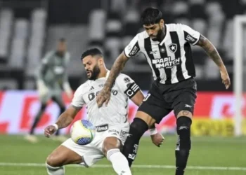 Botafogo e Atlético-MG são os finalistas da Libertadores • Getty