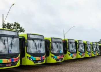 Ônibus do transporte coletivo de Palmas — Foto: Divulgação/ Secom Prefeitura de Palmas