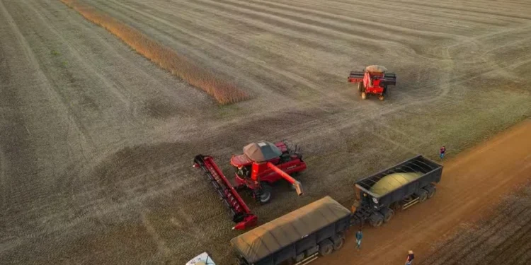 Recuperações judiciais no agronegócio cresceram 20,5% no terceiro trimestre