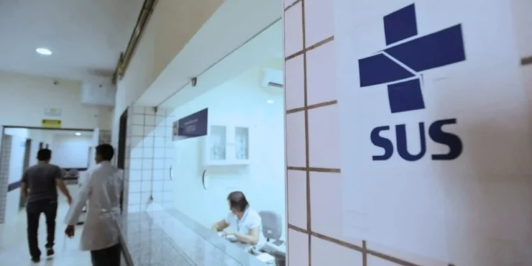 Pescador faz registro raro de polvo-véu em Fernando de Noronha; veja vídeo