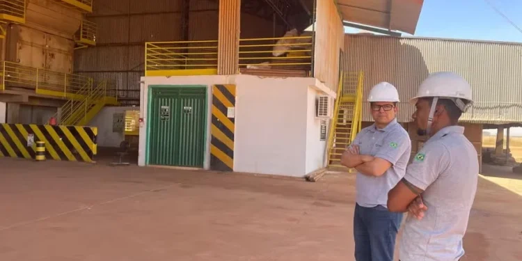 Soja, milho e trigo sobem na bolsa de Chicago em dia de eleição nos EUA