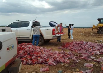 crédito foto: Divulgação