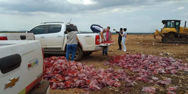 Vigilância Sanitária apreende mais de quatro toneladas de morangos impróprios para consumo em Palmas