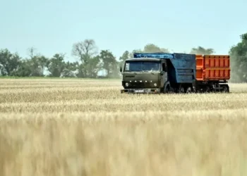 • Dmytro Smolyenko/ Ukrinform/Future Publishing via Getty Images