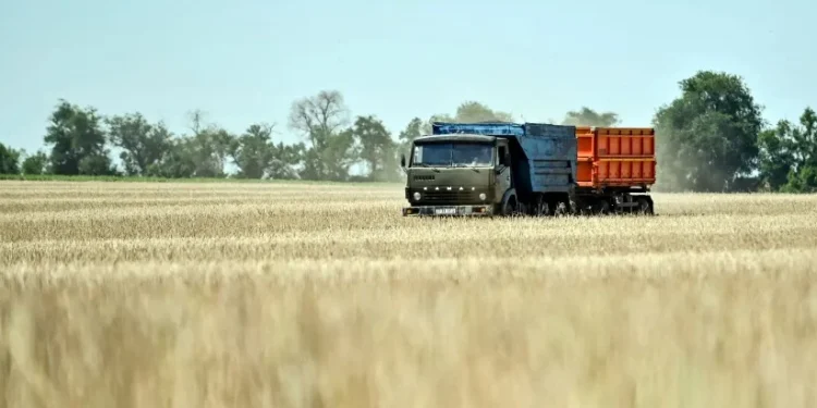 • Dmytro Smolyenko/ Ukrinform/Future Publishing via Getty Images