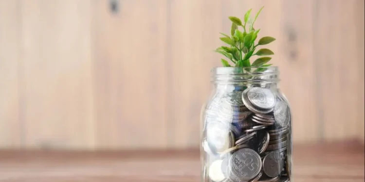 Pará negocia US$ 180 milhões em créditos de carbono
