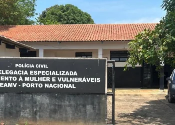 Jovem de 19 anos é indiciado por manter relacionamento com uma criança de 11 anos, em Porto Nacional.jpeg - Foto: Divulgação SSP/TO file_download