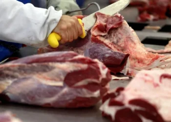 A retirada das proteínas animais da lista da cesta básica desonerada era um dos principais temores do setor agropecuário • 7/10/2011REUTERS/Paulo Whitaker/File Photo