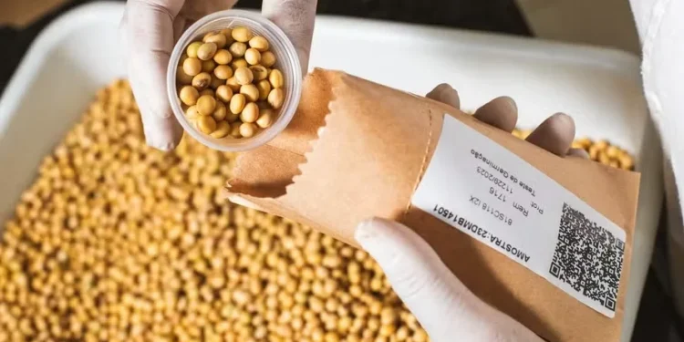 Escassez de profissionais do setor de sementes preocupa especialistas