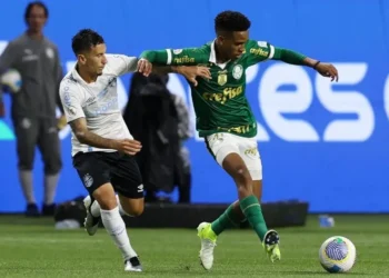 Disputa de bola entre Palmeiras e Grêmio pelo Brasileirão • Foto: Cesar Greco/Palmeiras/by Canon