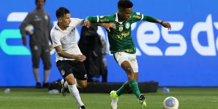 Estêvão brilha, e Palmeiras vence Grêmio em jogo marcado por protesto da torcida