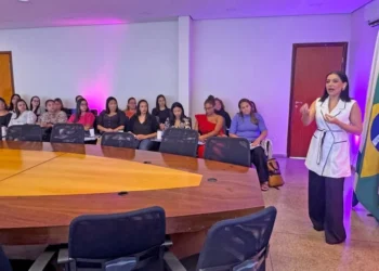 Servidores recepcionistas da Educação participam de treinamento em Palmas - Foto: Nilson Chaves/Governo do Tocantins file_download