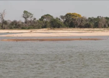 Estiagem no Pantanal • ESTADÃO CONTEÚDO