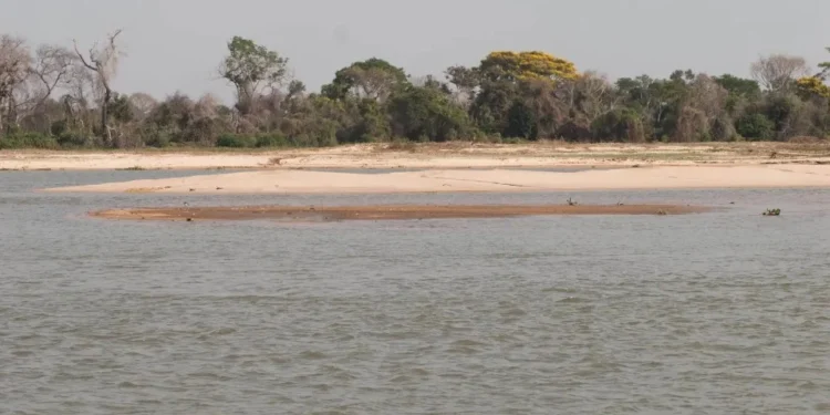 Estiagem no Pantanal • ESTADÃO CONTEÚDO