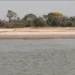 Pantanal reduz em 61% área alegada em um período de 38 anos, indica MapBiomas