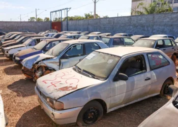 Veículos e sucatas estão expostos à visitação desde dia 6 de novembro - Foto: Divulgação