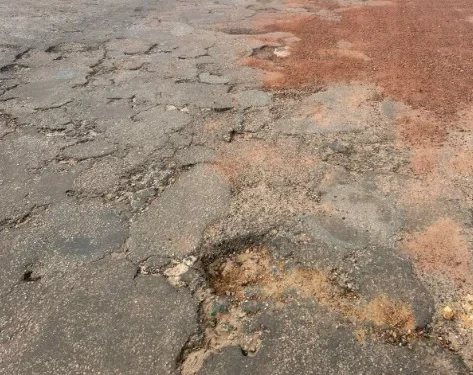 Avenida Zeca Pereira
Foto: Portal LJ