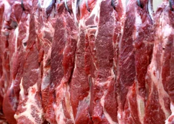 Região Norte foi a mais impactada pelo aumento no preço do alimento Foto: Jaelson Lucas/AEN