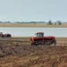 Plantio de arroz chegou a 84,11% da área no Rio Grande do Sul