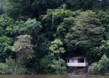 A região Norte é a que tem os piores índices nacionais de conectividade no meio rural — Foto: Gilberto Soares/MMA