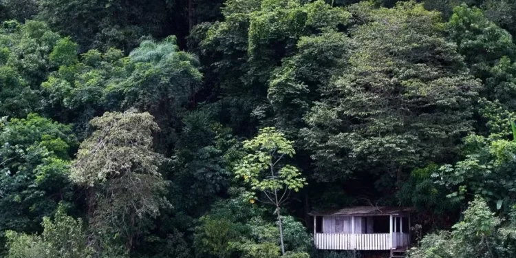 A região Norte é a que tem os piores índices nacionais de conectividade no meio rural — Foto: Gilberto Soares/MMA