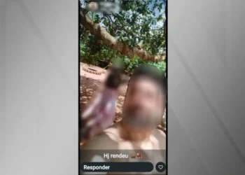 Servidor publicou foto com o javali morto em suas redes sociais • Reprodução