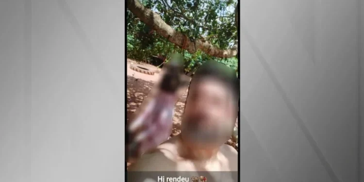 Servidor de departamento de defesa animal é exonerado após foto com javali morto