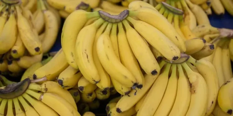 Tipos de banana: veja as variedades mais consumidas no Brasil