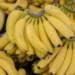 Tipos de banana: veja as variedades mais consumidas no Brasil