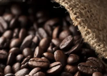 A estratégia dos produtores brasileiros de café tem sido dosar as vendas — Foto: Getty Images