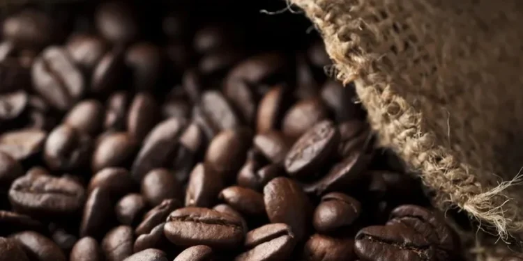 A estratégia dos produtores brasileiros de café tem sido dosar as vendas — Foto: Getty Images