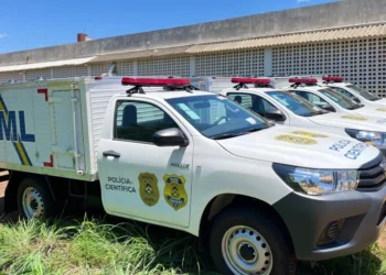 O corpo passou por exames necroscópicos e foi encaminhado para a câmara fria do Núcleo de Medicina Legal de Natividade..jpeg - Foto: Divulgação SSP/TO file_download