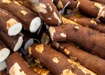 São 24 semanas consecutivas de alta, segundo o Cepea — Foto: Canva/Creative Commoms