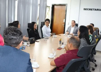 Secretário destacou que é importante investir na capacitação dos profissionais e no fortalecimento das parcerias interinstitucionais - Foto: Adrielly Calixto /Governo do Tocantins file_download